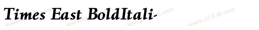 Times East BoldItali字体转换